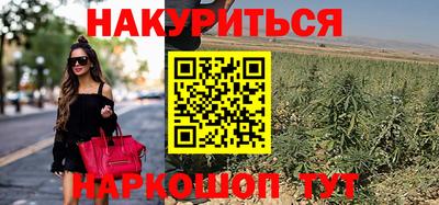 сатива Краснознаменск