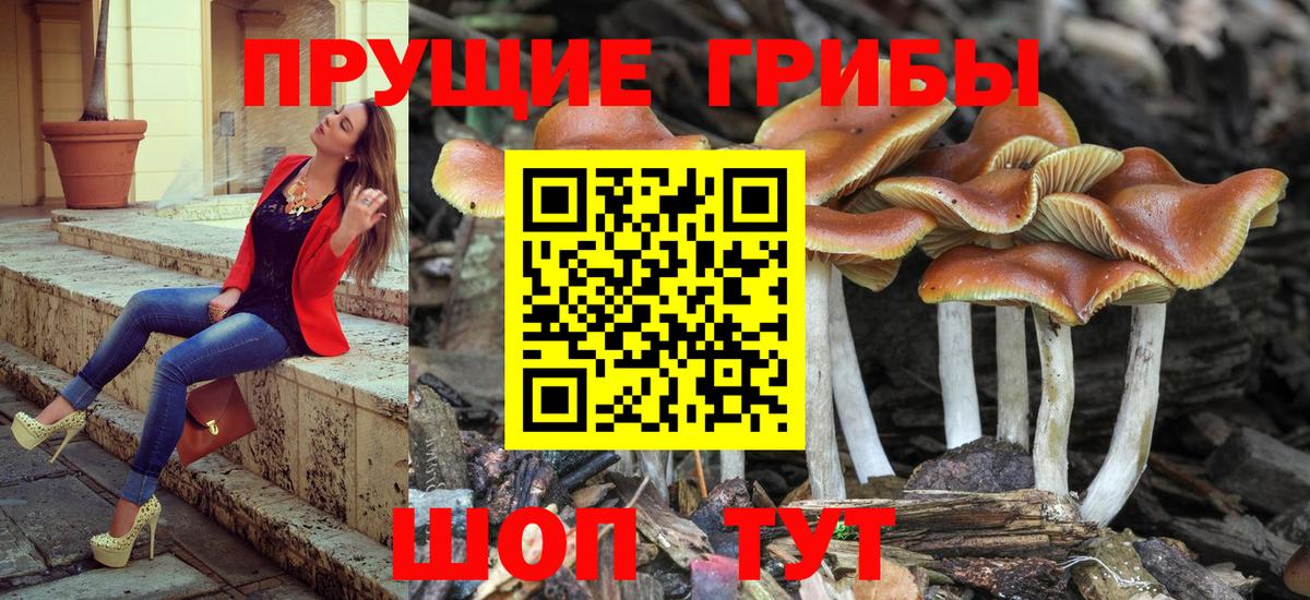 Киржач  Псилоцибиновые грибы мухоморы  купить наркотики сайты  Вход с VPN 